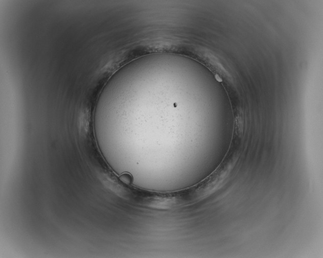 X0000111940458200908031141