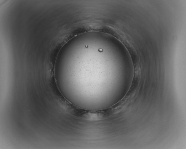 X0000111940464200908031141