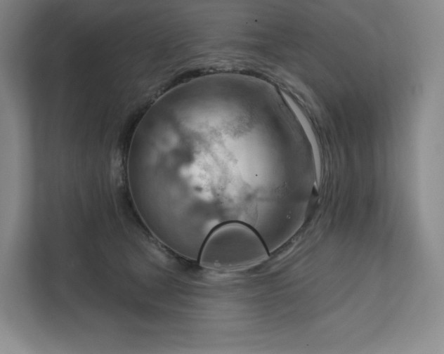 X0000111940465200908031141