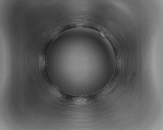 X0000111940471200908031141