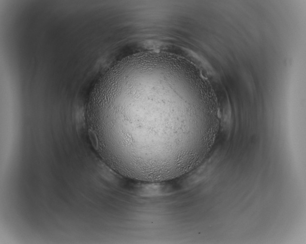 X0000111940473200908031142