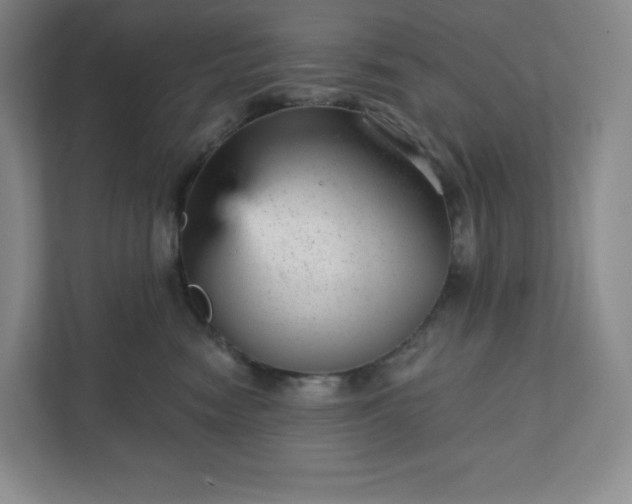 X0000111940474200908031142