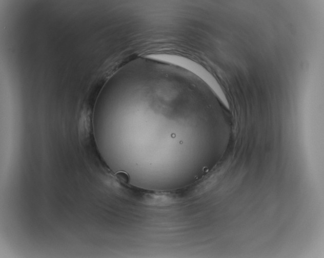 X0000111940475200908031142