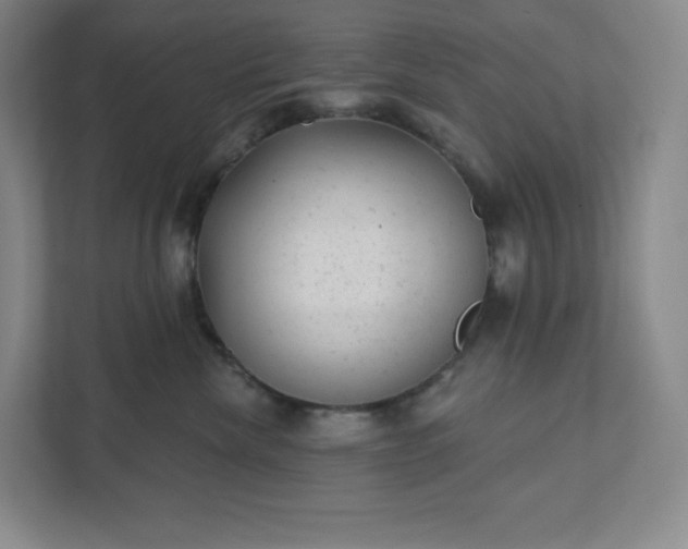 X0000111940476200908031142