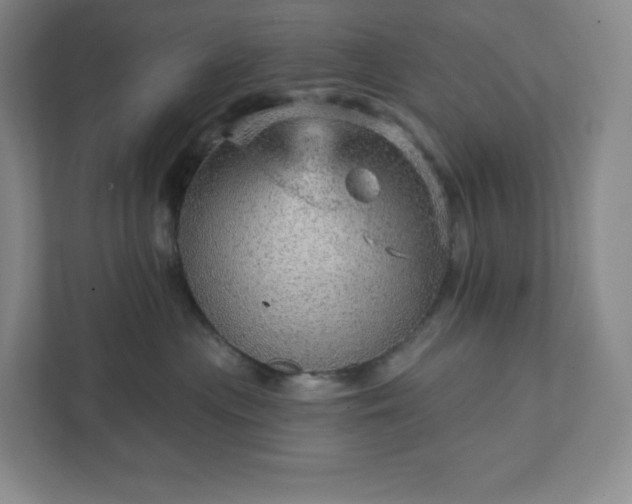 X0000111940477200908031142