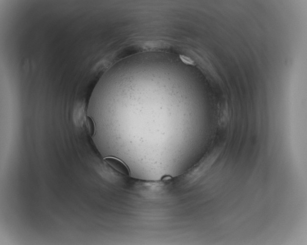 X0000111940478200908031142