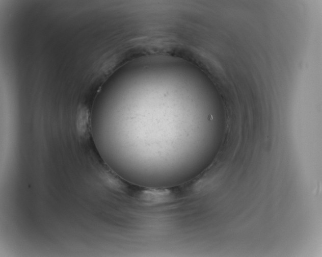 X0000111940480200908031142