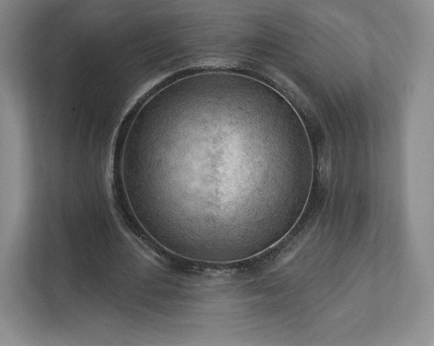 X0000111940484200908031141