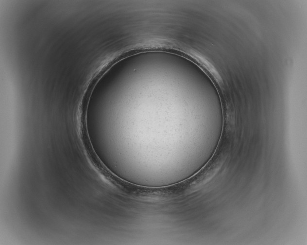 X0000111940485200908031141