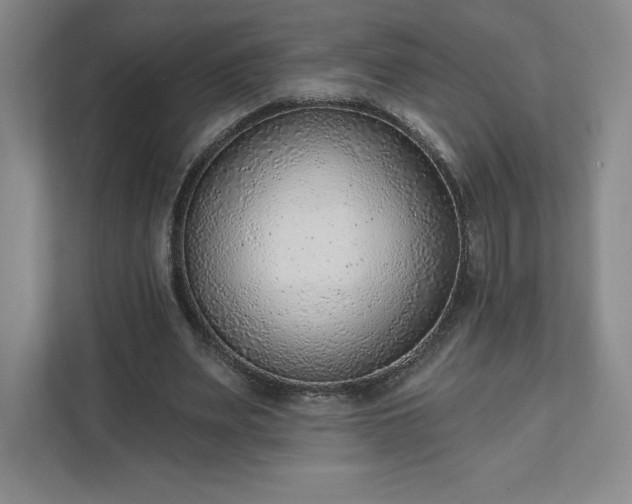 X0000111940487200908031141