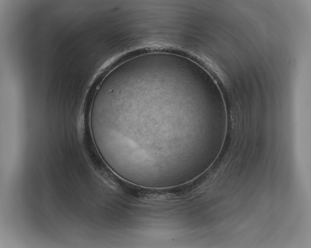 X0000111940488200908031141