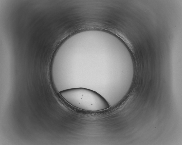 X0000111940489200908031141