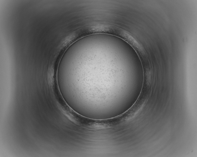 X0000111940490200908031141