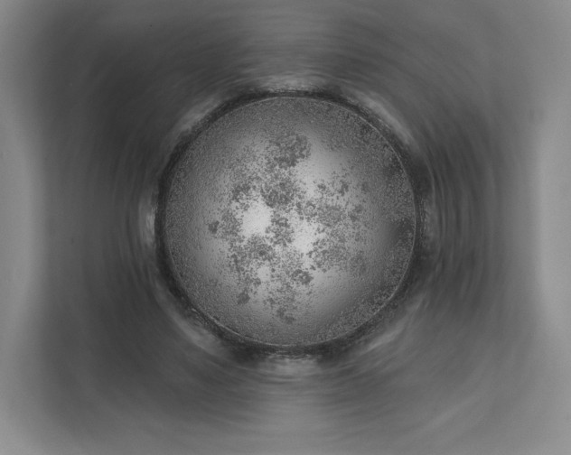 X0000111940491200908031141