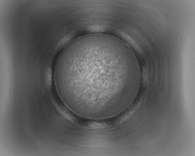 X0000111940494200908031141