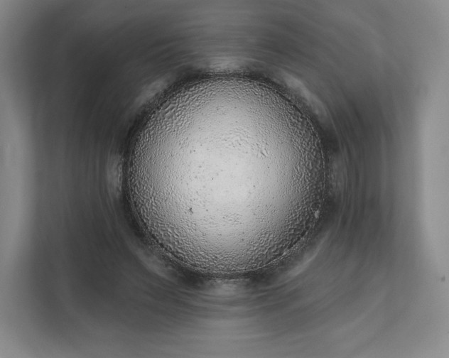 X0000111940495200908031141