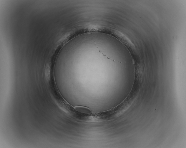 X0000111940496200908031141