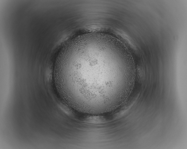 X0000111940499200908031141