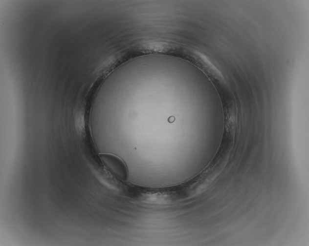 X0000111940500200908031141