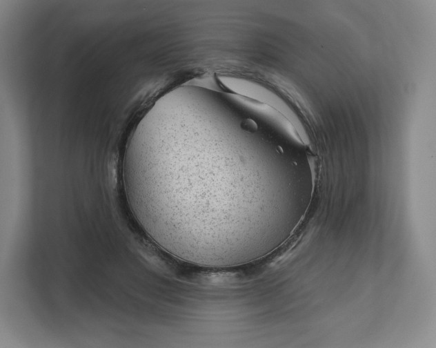 X0000111940501200908031141