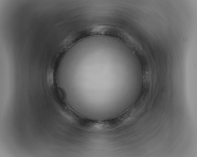 X0000111940504200908031141