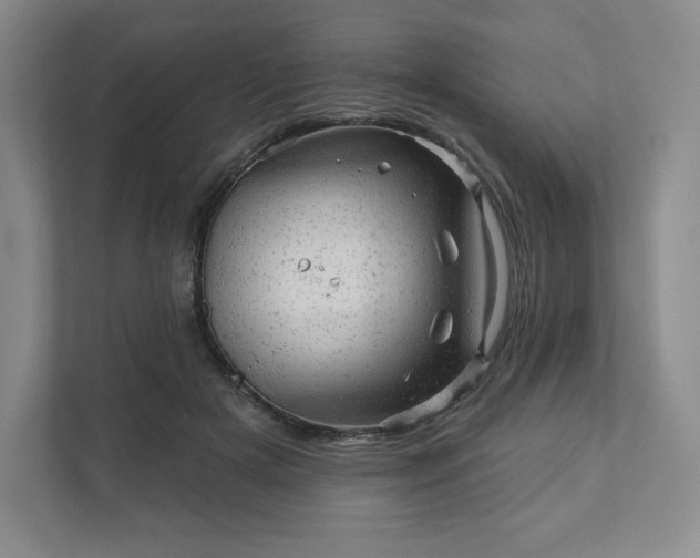 X0000111940505200908031141