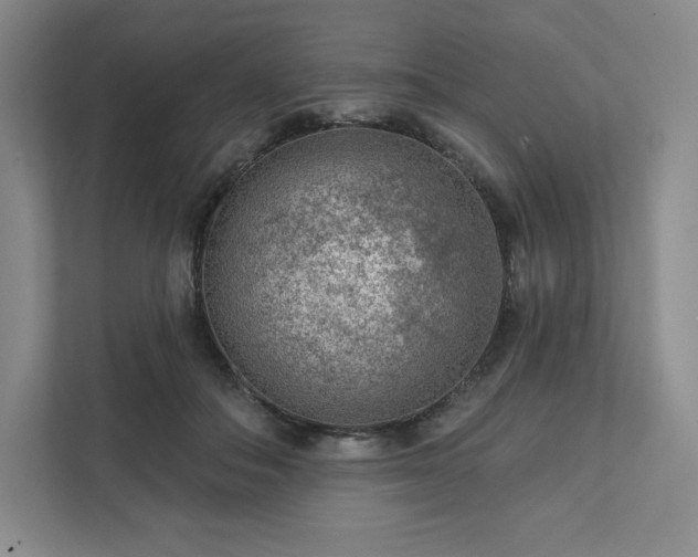 X0000111940506200908031141