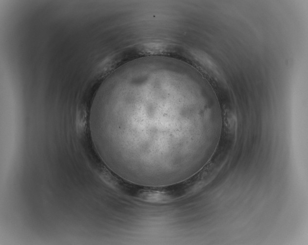 X0000111940507200908031141