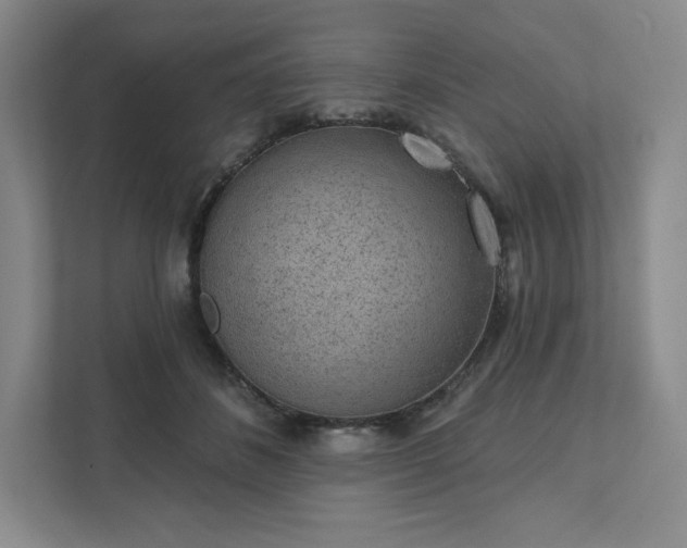 X0000111940508200908031141