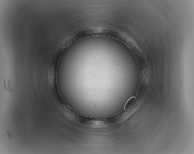 X0000111940509200908031141