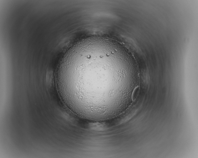 X0000111940511200908031141