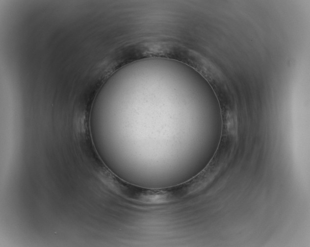 X0000111940514200908031141