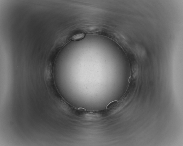 X0000111940515200908031141