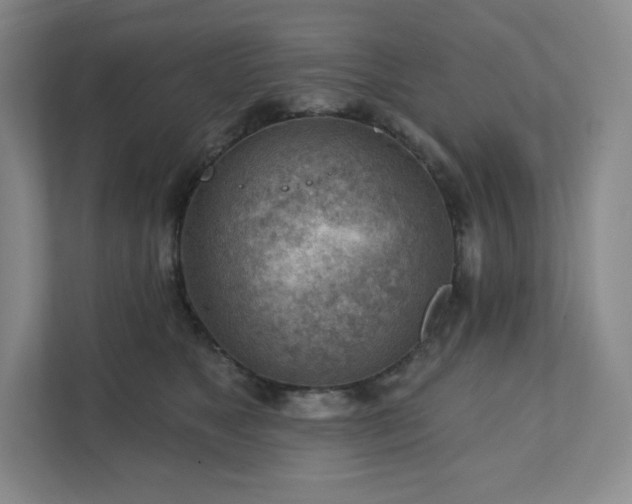 X0000111940517200908031141