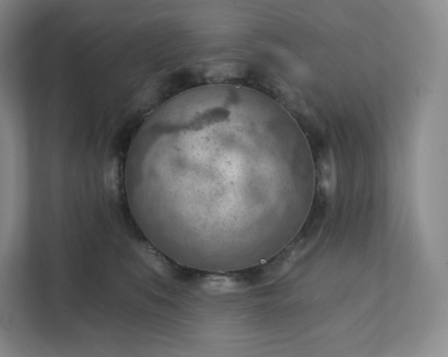 X0000111940519200908031140