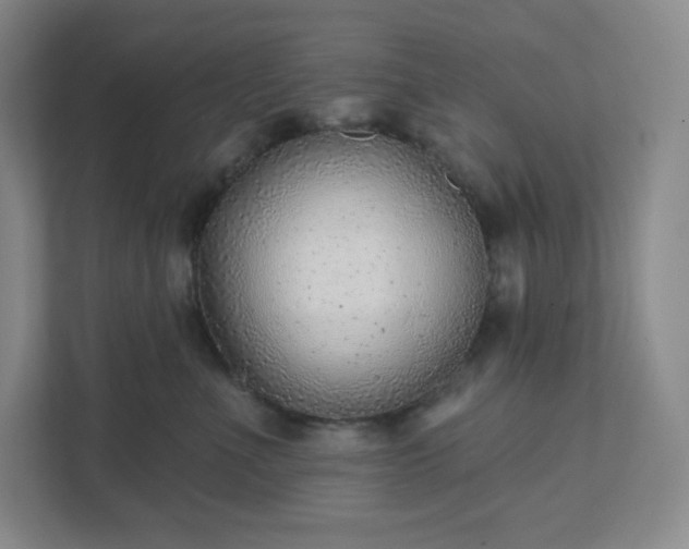 X0000111940523200908031140