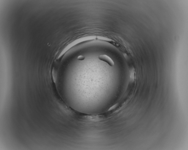 X0000111940524200908031140