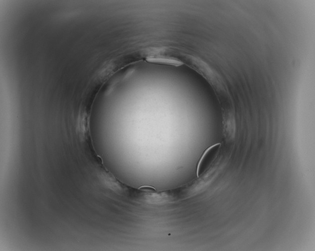 X0000111940525200908031140