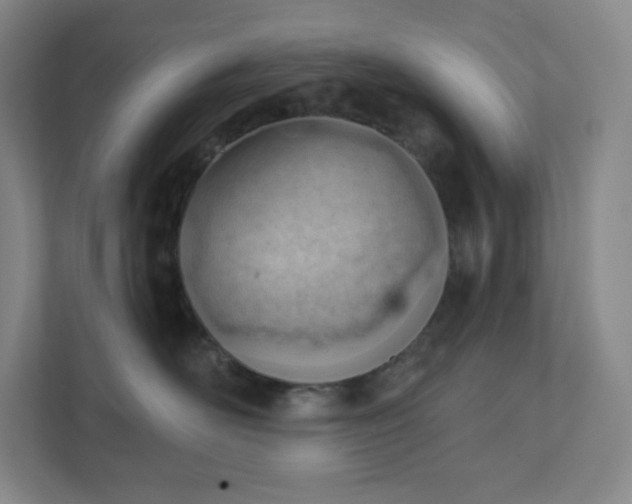 X0000111940526200908031140