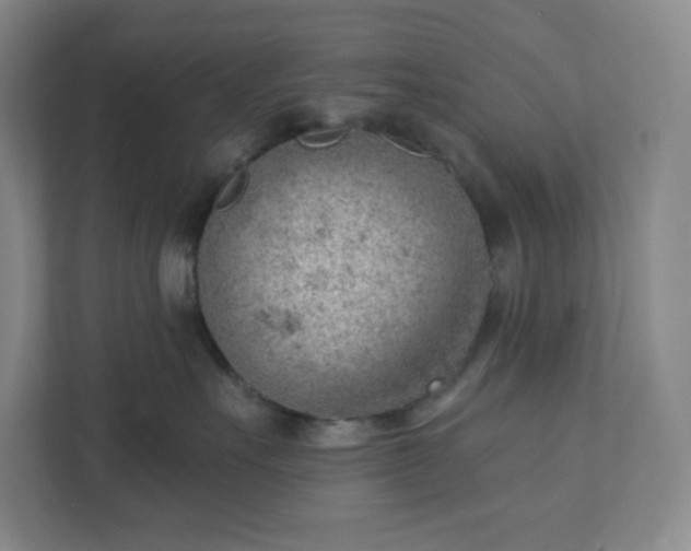 X0000111940527200908031140