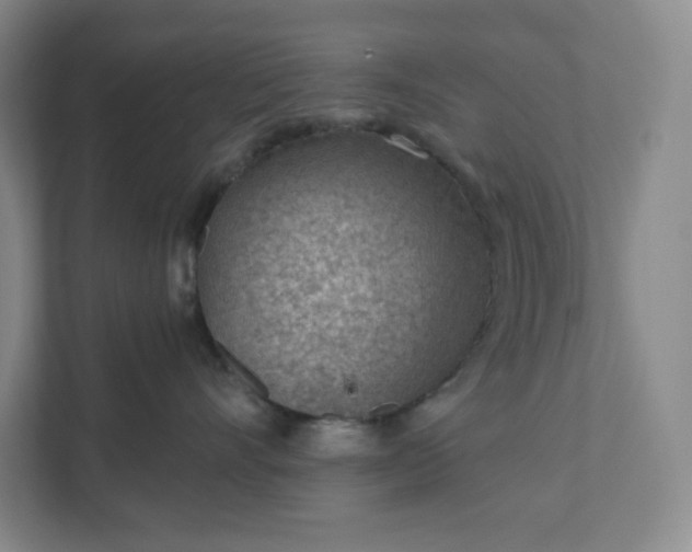 X0000111940528200908031140