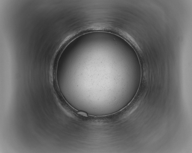 X0000111940530200908031140