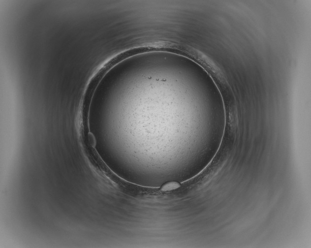 X0000111940532200908031140