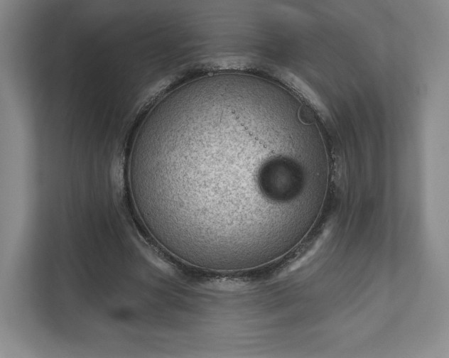 X0000111940537200908031140