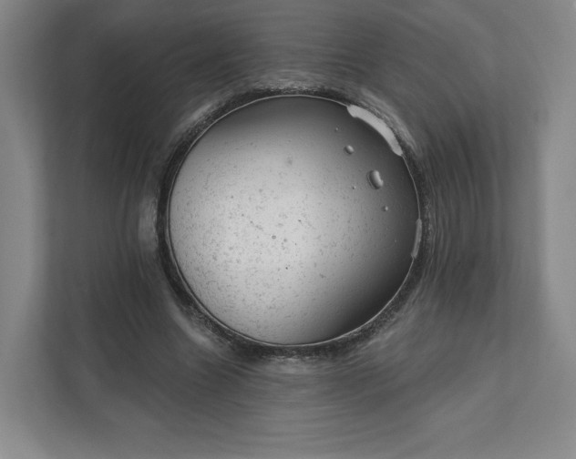 X0000111940538200908031140