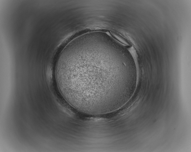 X0000111940539200908031140