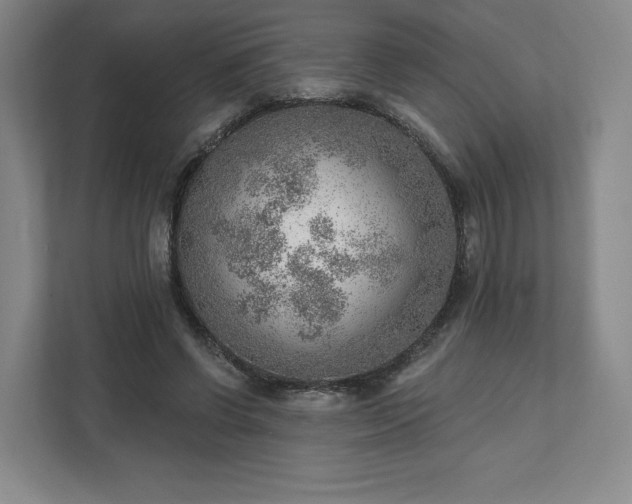 X0000111940542200908031140