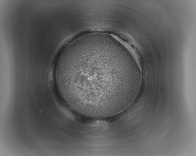 X0000111940543200908031140