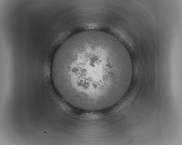 X0000111940545200908031140