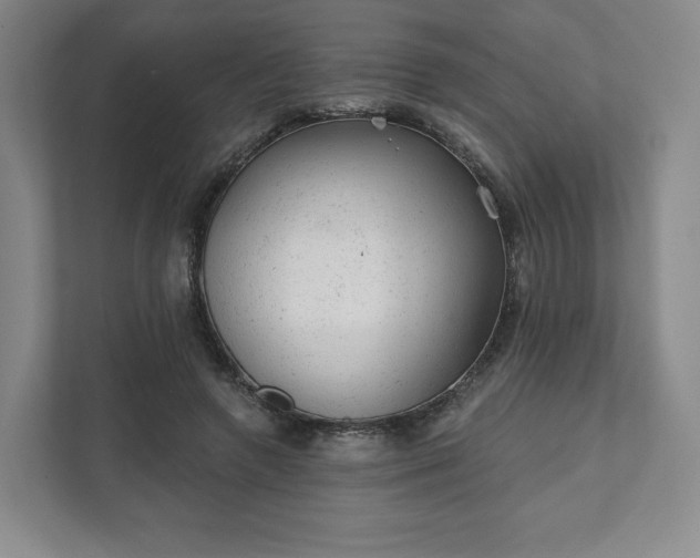 X0000111940546200908031140